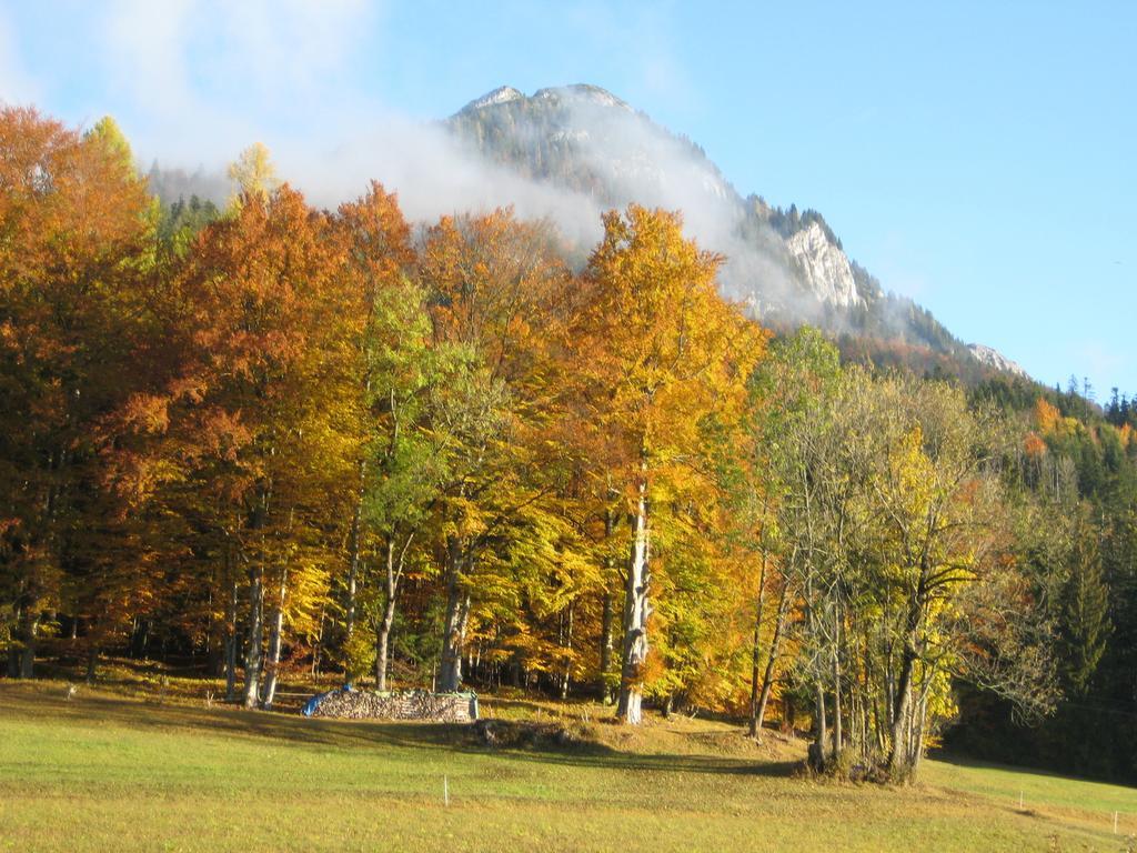 Haus Schrei Appartement Grundlsee Buitenkant foto